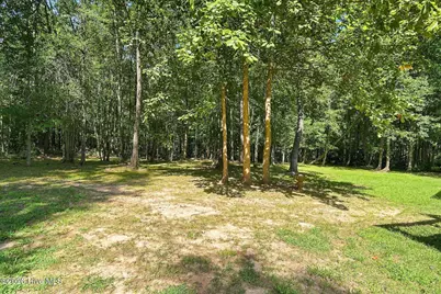 243 Barrette Lane, Archer Lodge, NC 27591 - Photo 32