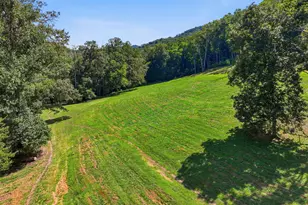 1306 Hot House Rd, Hayesville, NC 28904 - Photo 56