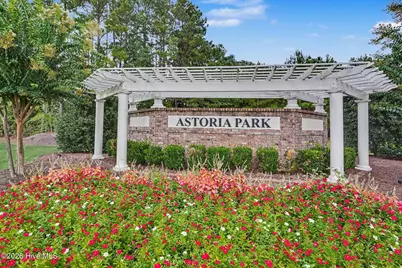 3927 Nandina Court, Conway, SC 29526 - Photo 32