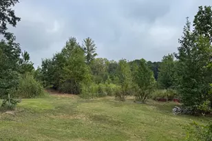 1595 Green Rd, Spring Hope, NC 27882 - Photo 44