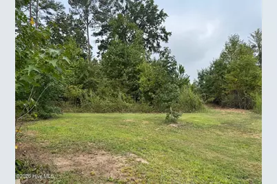 1595 Green Road, Spring Hope, NC 27882 - Photo 42