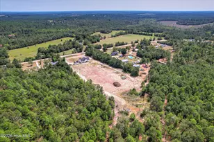 5225 Farmers Bridge Rd, Hephzibah, GA 30815 - Photo 50
