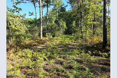 [Address not provided], Bath, NC 27808 - Photo 18