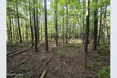 [Address not provided], Bath, NC 27808 - Photo 12