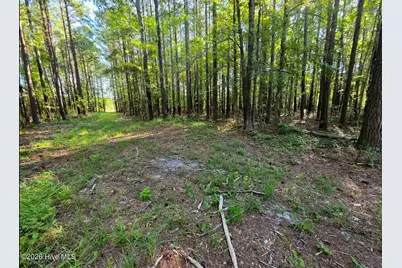 [Address not provided], Bath, NC 27808 - Photo 4