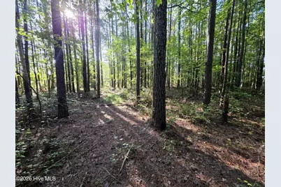 [Address not provided], Bath, NC 27808 - Photo 14