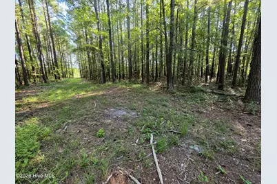 [Address not provided], Bath, NC 27808 - Photo 20
