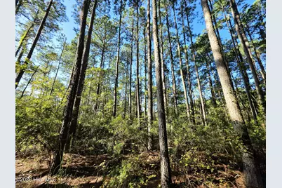 [Address not provided], Bath, NC 27808 - Photo 6
