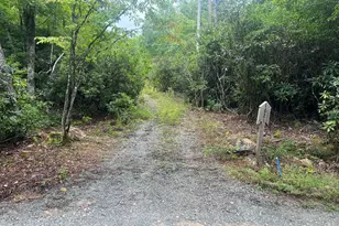 1621 Granny Squirrel Dr, Andrews, NC 28901 - Photo 1
