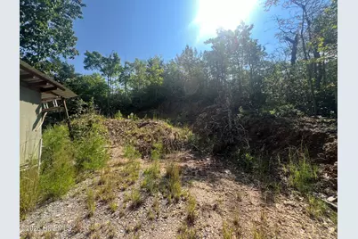 1621 Granny Squirrel Drive, Andrews, NC 28901 - Photo 4