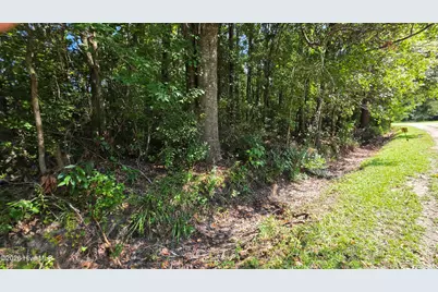 Near 74 Long Leaf Drive, Whiteville, NC 28472 - Photo 2