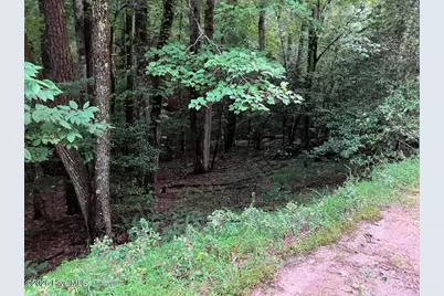 Lot 35 Tr2 Scenic Drive, Hayesville, NC 28904 - Photo 6