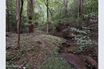 Lot 35 Tr2 Scenic Drive, Hayesville, NC 28904 - Photo 1