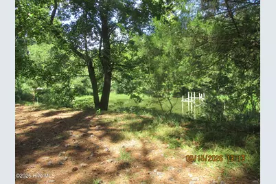 7625 Wheat Swamp Road, Lucama, NC 27851 - Photo 8