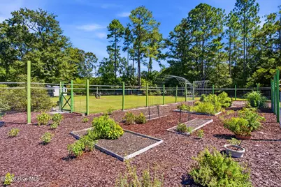 223 Blue Top Road, Jacksonville, NC 28540 - Photo 50
