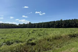 0 Nc Hwy 33, Chocowinity, NC 27817 - Photo 1