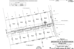 3523 Deerfield Rd, Dearing, GA 30808 - Photo 38