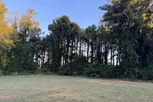 182 Beamon Hunt Rd, Warrenton, NC 27589 - Photo 6