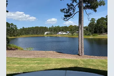2317 Frink Lake Drive, Southport, NC 28461 - Photo 2