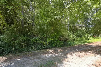 163 John Hall Farm Lane, Beulaville, NC 28518 - Photo 2