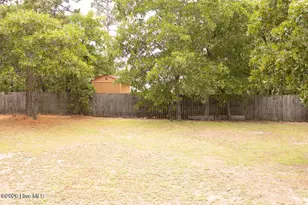 38 Cross Roads Ct, Broadway, NC 27505 - Photo 50