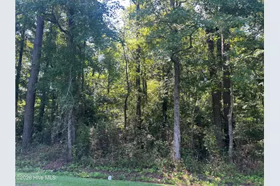 12045 Andrew Jackson Highway SW, Fair Bluff, NC 28439 - Photo 18