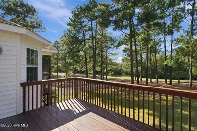 20 Pine Tree Terrace, Jackson Springs, NC 27281 - Photo 54