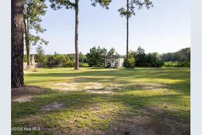 101 Pine Needle Drive, Salemburg, NC 28385 - Photo 32