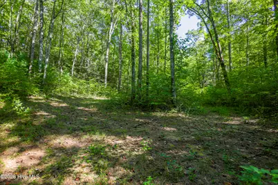 90 Ac Tree House Road, Andrews, NC 28901 - Photo 14