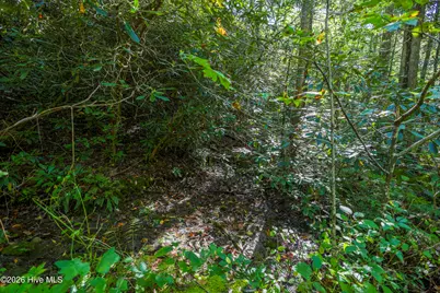 90 Ac Tree House Road, Andrews, NC 28901 - Photo 18