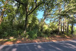 170 Southriver Rd, Autryville, NC 28318 - Photo 72