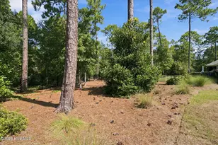 2257 Whiskey Branch Dr, Wilmington, NC 28409 - Photo 42