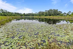 2257 Whiskey Branch Dr, Wilmington, NC 28409 - Photo 68