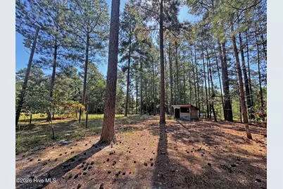 265 Dewey Drive, Aberdeen, NC 28315 - Photo 48