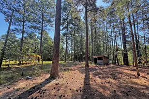 265 Dewey Dr, Aberdeen, NC 28315 - Photo 48