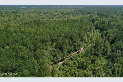 0 Bud Stephens Road, Evergreen, NC 28438 - Photo 10