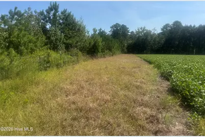 0 Bud Stephens Road, Evergreen, NC 28438 - Photo 2