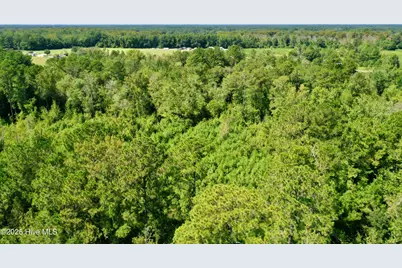 0 Bud Stephens Road, Evergreen, NC 28438 - Photo 1