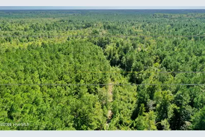 0 Bud Stephens Road, Evergreen, NC 28438 - Photo 6