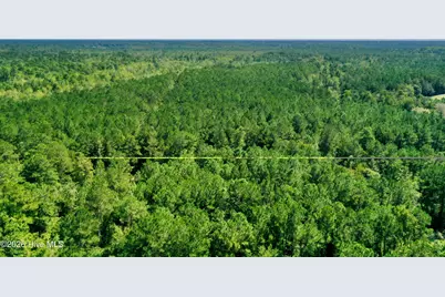 0 Bud Stephens Road, Evergreen, NC 28438 - Photo 8