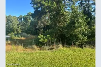 1616 Caracara Drive, New Bern, NC 28560 - Photo 22