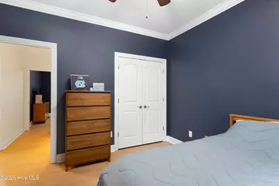204 Doe Ridge Road, Hampstead, NC 28443 - Photo 26