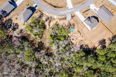 311 Royal Eagle Court, Sneads Ferry, NC 28460 - Photo 6