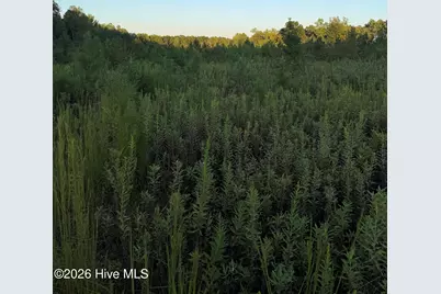 Lot 28 Hope Creek Trail, Spring Hope, NC 27882 - Photo 2
