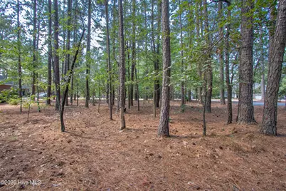 245 Pine Vista Drive, Pinehurst, NC 28374 - Photo 6
