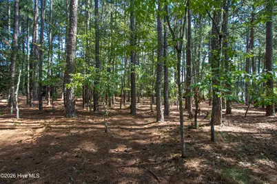 245 Pine Vista Drive, Pinehurst, NC 28374 - Photo 2