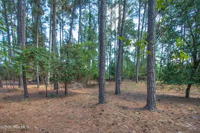 245 Pine Vista Drive, Pinehurst, NC 28374 - Photo 4