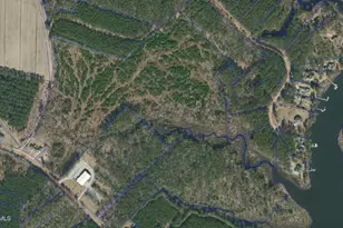 0 White Farm Rd, Oriental, NC 28571 - Photo 1