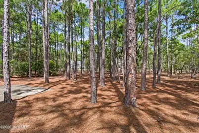 3620 Gleneagle Drive, Southport, NC 28461 - Photo 36