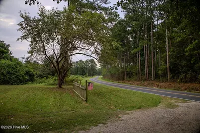799 Cain Road, Saint Pauls, NC 28384 - Photo 32